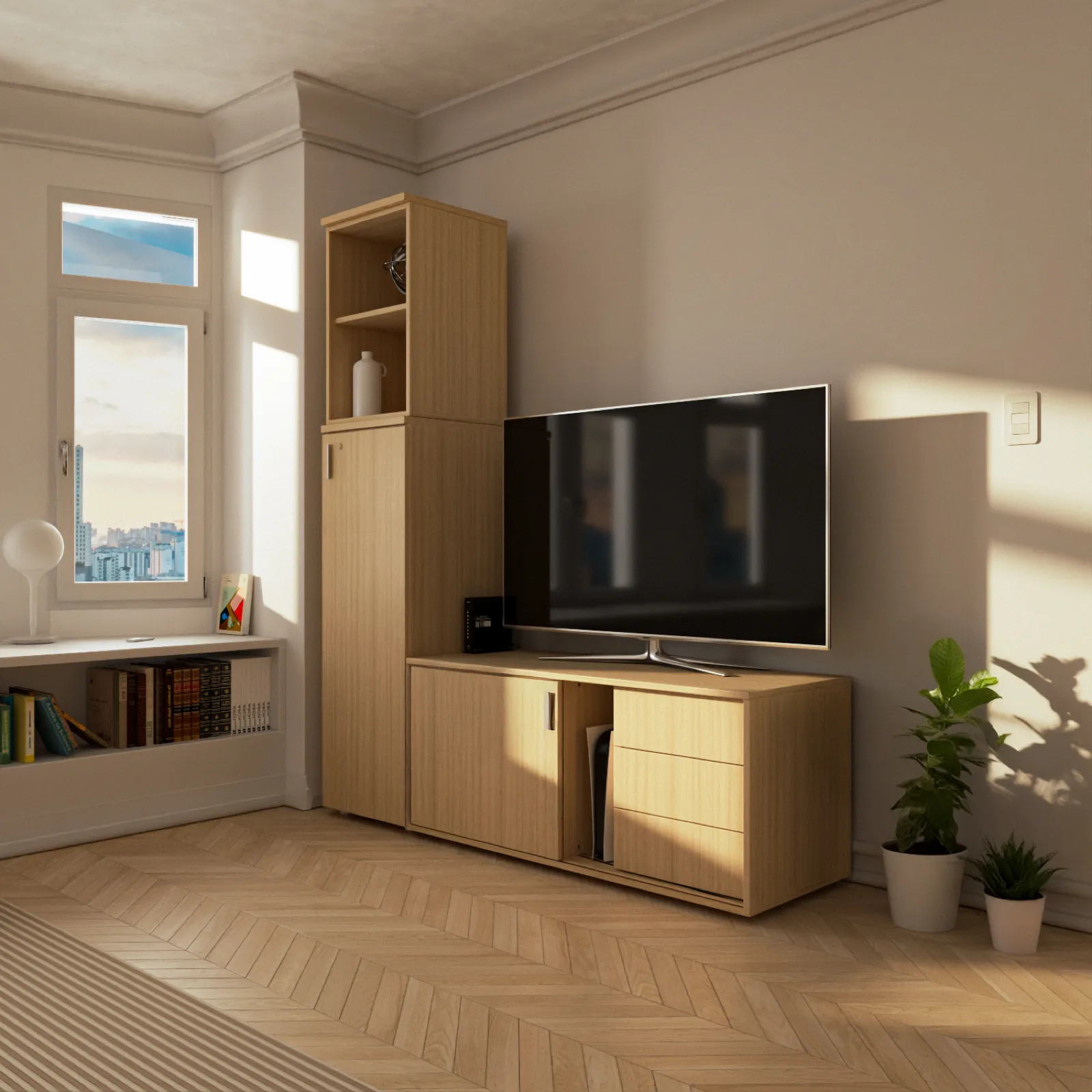 Living - Credenza y Biblioteca 45